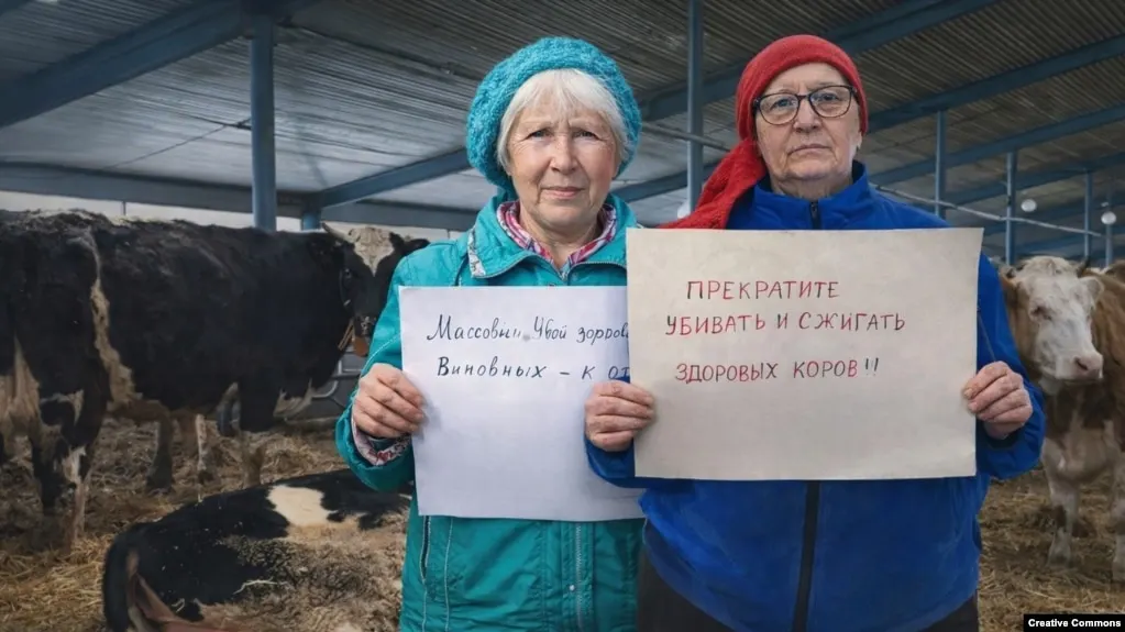 Глава минсельхоза Новосибирской области Андрей Шинделов лишился должности после критики из‑за вспышек опасных заболеваний животных и затягивания господдержки фермерам на фоне массового изъятия и убоя скота в ряде регионов.