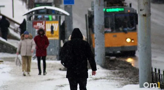 Омское отделение поискового отряда опубликовало статистику за апрель: из 80 поступивших заявок 59 человек найдены живыми, трое остаются не найдены, четыре заявки — неподтверждённые.