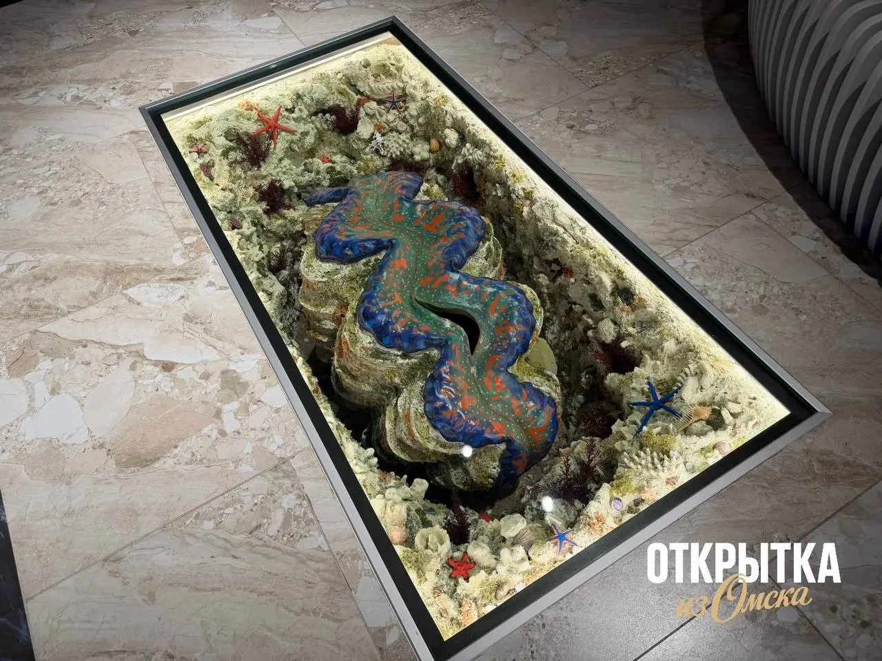 Новое пространство на улице Гагарина, 20 соберёт более 22 тыс. раковин из частной коллекции Игоря Шлегеля; официальное открытие запланировано на 16 мая в рамках «Ночи музеев».