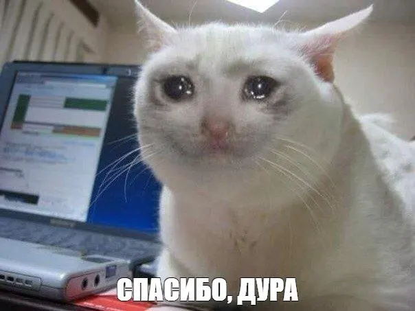 Министр Максим Решетников призвал активнее привлекать пенсионеров и людей предпенсионного возраста на рынок труда через переобучение, стажировки и гибкую занятость. Одновременно Госдума увеличила допустимые сверхурочные до 240 часов в год.