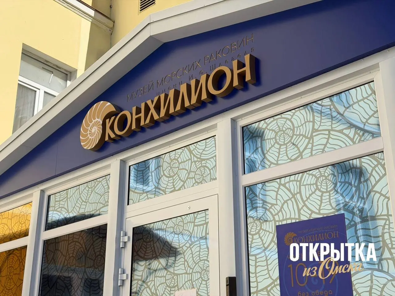 На Гагарина, 20 появится новое пространство, посвящённое раковинам и подводному миру: в частной коллекции более 22 тысяч экспонатов, официальное открытие — 16 мая в рамках «Ночи музеев».