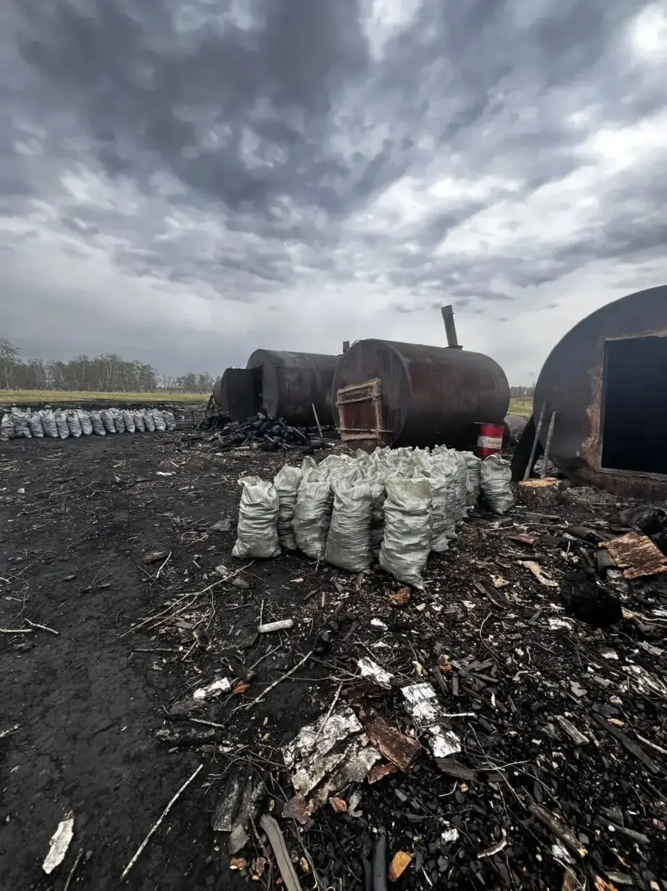 В Саргатском районе Омской области обнаружили нелегальное производство древесного угля на особо охраняемой природной территории площадью 7 011 м². На месте остались шлак и выжженная растительность, на виновных составлены протоколы.