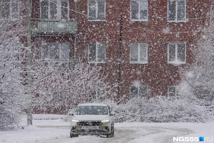 Синоптики прогнозируют ночные заморозки до −5 °C, дневные температуры останутся ниже нормы; в отдельных районах возможен мокрый снег.