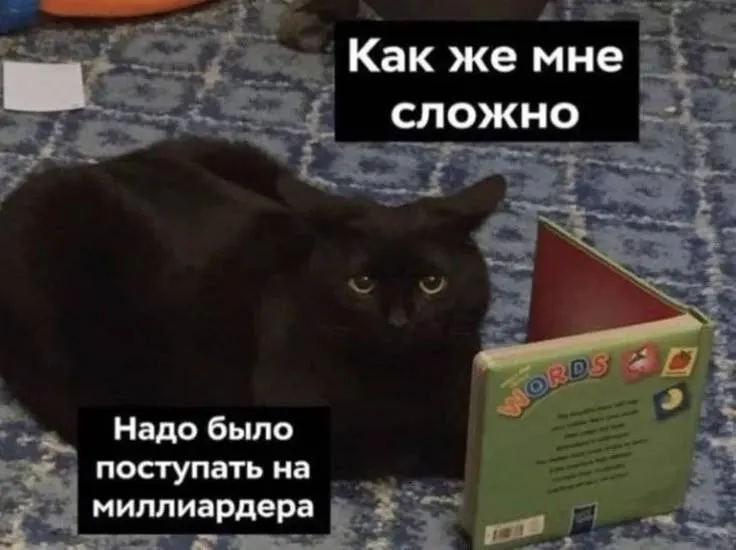 По оценкам аналитиков, примерно через 12 лет три четверти жителей Омской области смогут получать 200 000 рублей в месяц; за год регион опустился в рейтинге доходов с 43-го на 50-е место.