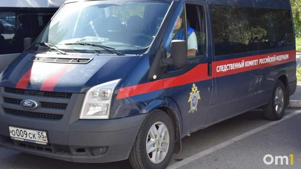По факту массового недомогания учащихся при возможной утечке природного газа следователи возбудили уголовное дело по статьям об оказании небезопасных услуг и халатности.