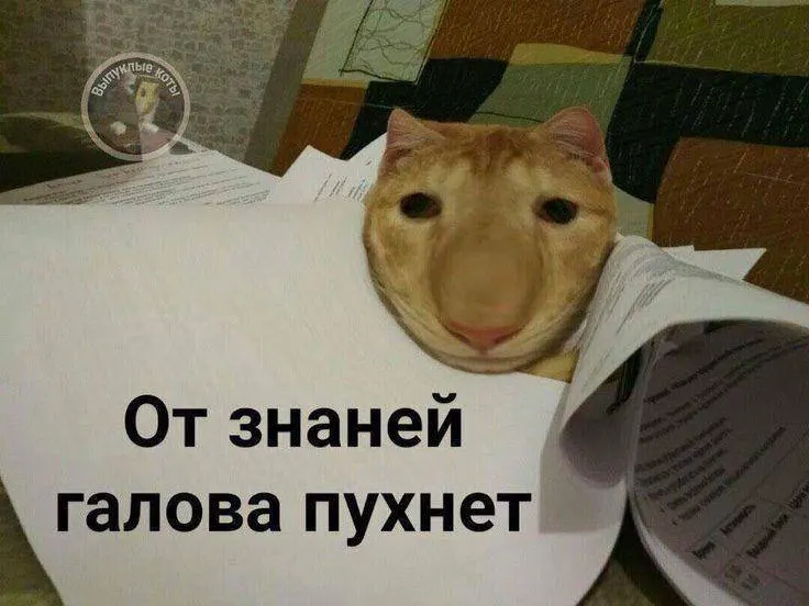 Минспорт предлагает добавить норматив по управлению небольшими дронами в программу ГТО: в тестовом режиме — уже в этом году, а с следующего года — для всех желающих по всей стране. Значок за испытание может дать до 10 дополнительных баллов при сдаче экзаменов.
