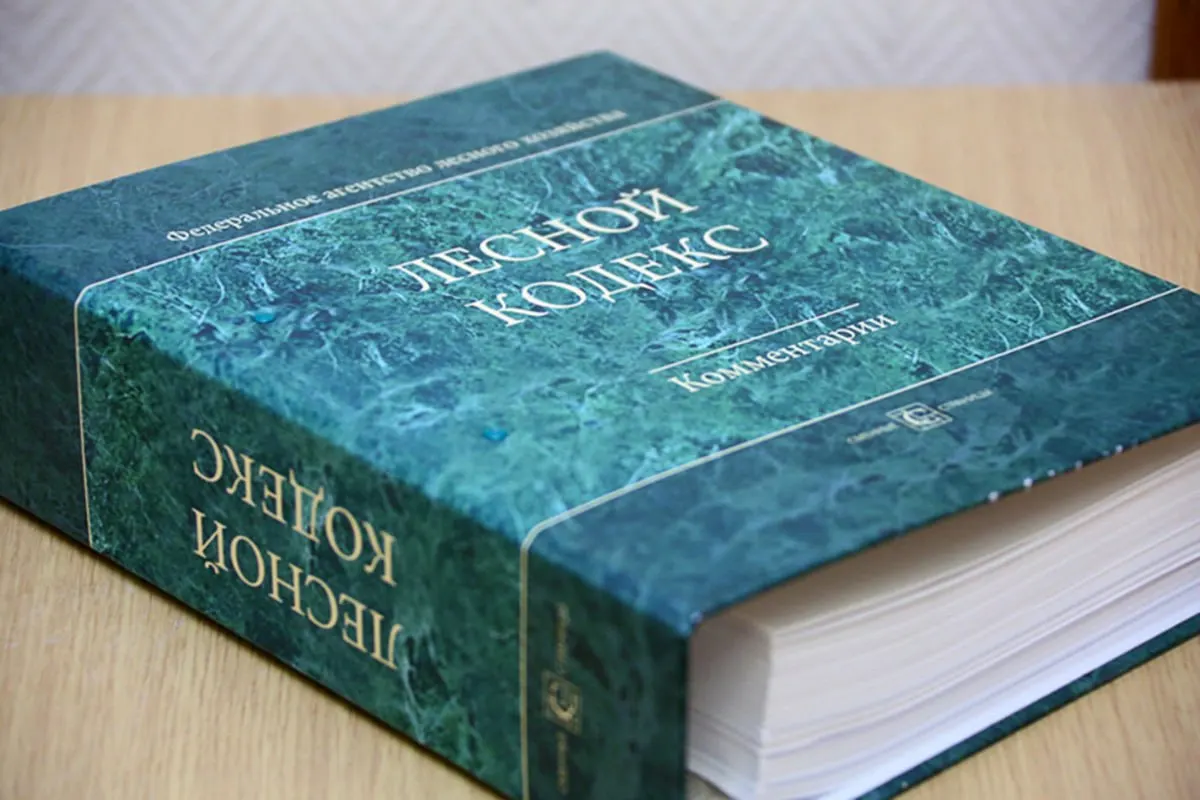 Эксперт по лесному хозяйству отмечает, что многочисленные поправки сделали Лесной кодекс неактуальным, что создает риски для бизнеса и специалистов; он предлагает заменить документ, существенно упростив и сократив его.