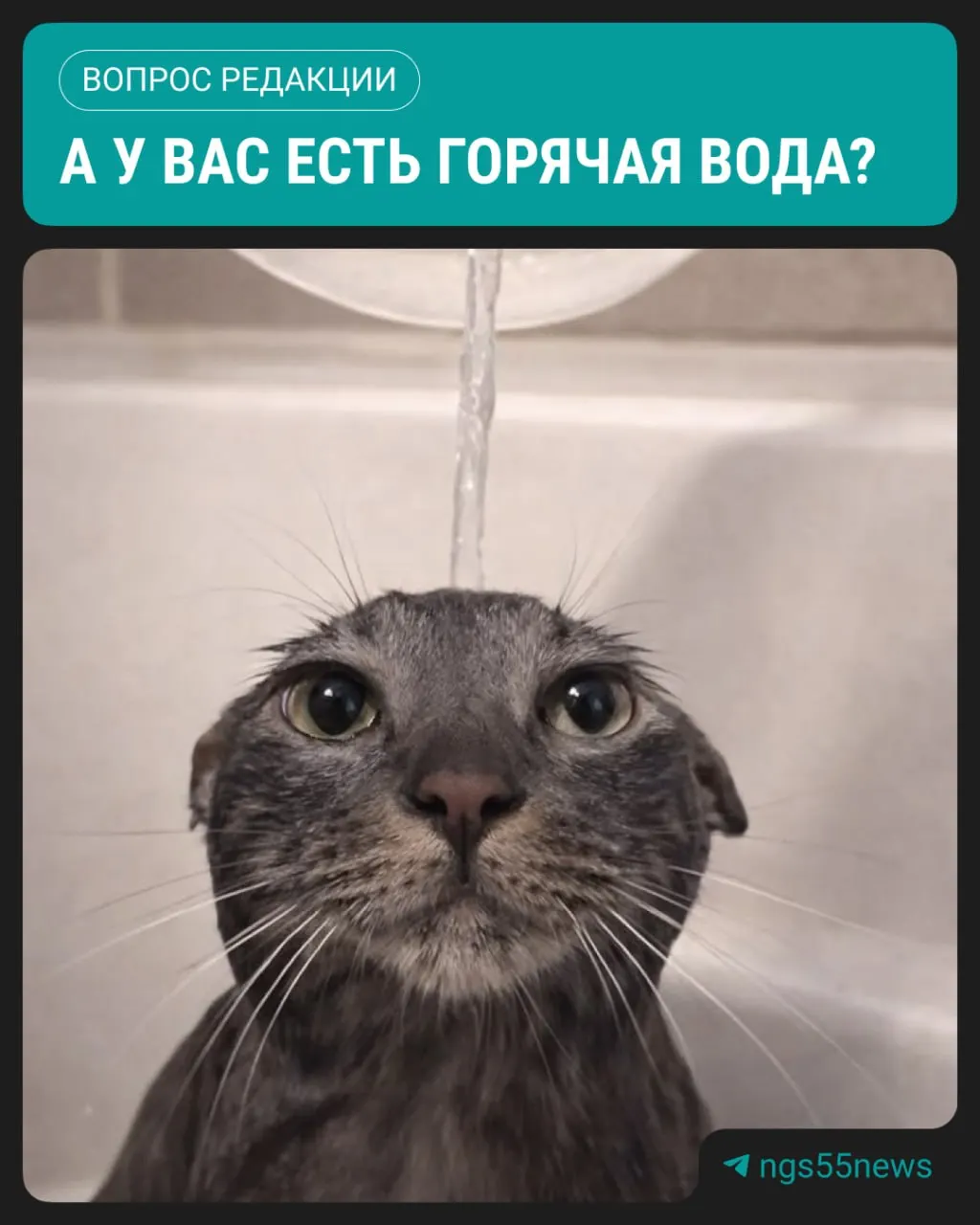 В Омске стартовали плановые отключения горячей воды: первые две волны пройдут с 19 мая по 1 июня и с 20 мая по 2 июня. Под отключения попадут почти 4 тысячи домов.