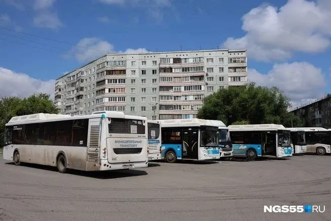 В Омске острый дефицит кадров в общественном транспорте: не хватает 91 водителя автобусов и троллейбусов и 27 трамвайных водителей. Жители связывают это с тяжёлыми условиями труда и низкими зарплатами, предлагают повысить оплату и улучшить рабочие условия.