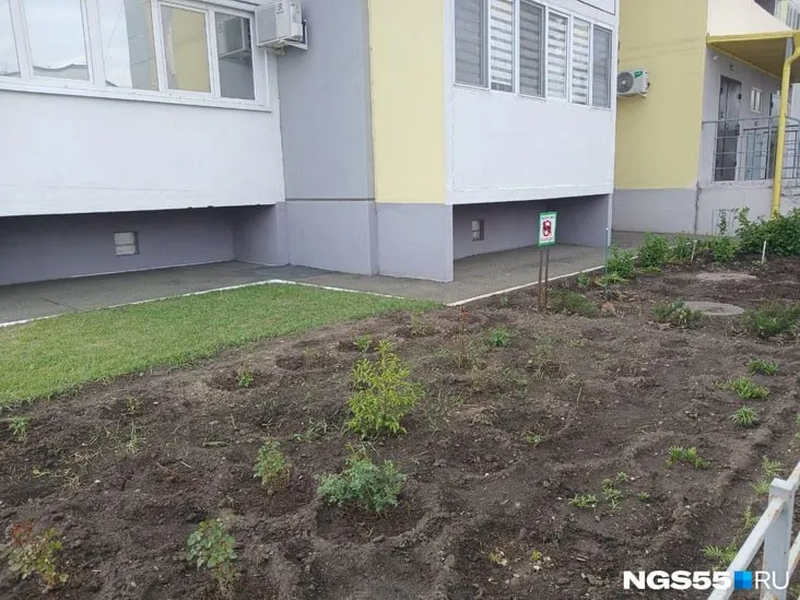 Омичи всё чаще устраивают грядки и цветники во дворах многоэтажек. Эксперт по ЖКХ объясняет, какие правила нужно соблюдать, чтобы избежать конфликтов и проблем с коммуникациями.