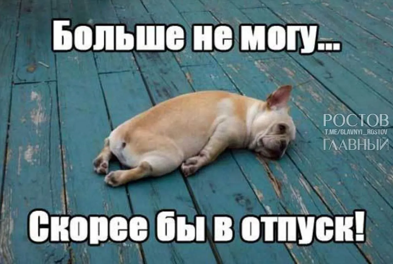 Депутаты предлагают поднять минимальный срок оплачиваемого отпуска с 28 до 35 дней — чтобы компенсировать входящие в отпуск выходные и снизить риск выгорания.