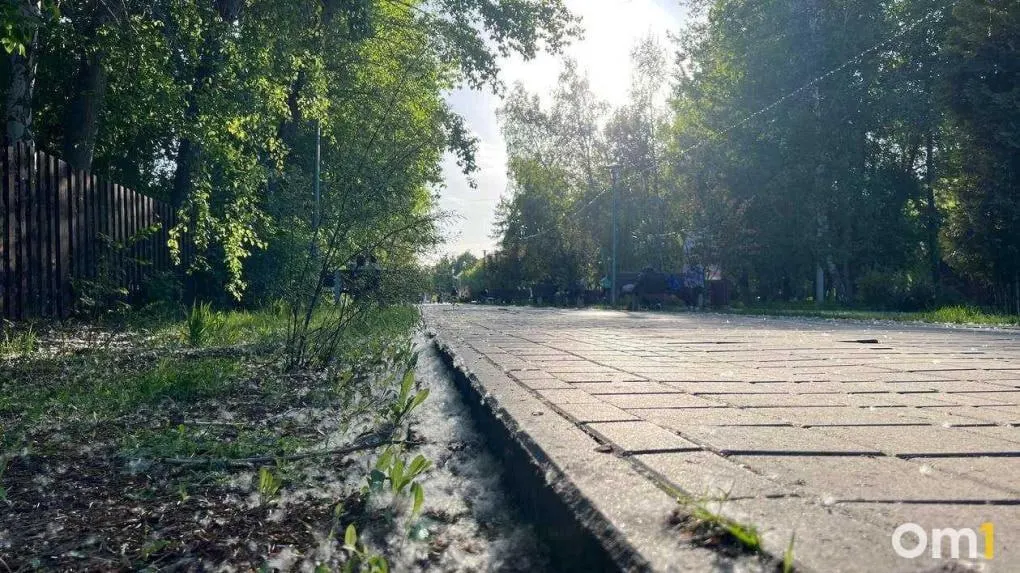 После майских праздников в городе заметили облака тополиного пуха — в некоторых местах, например в Советском парке, его особенно много. Людям с аллергией и родителям стоит быть осторожнее.