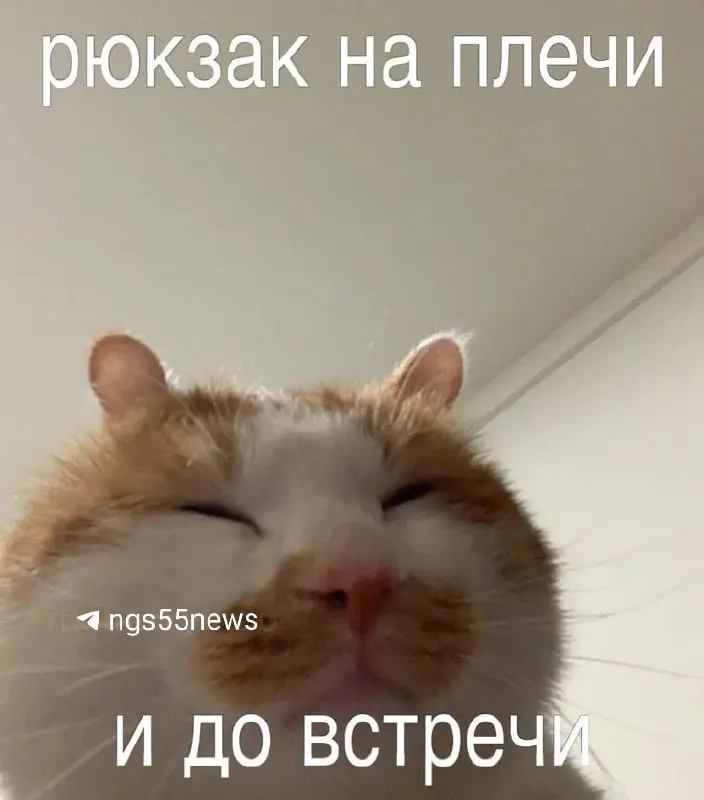 Численность региона на 1 января 2025 года — 1 805 806 человек. Снижение объясняют миграцией и естественной убылью; сведения о смертности за 2024 год не подлежат публикации.