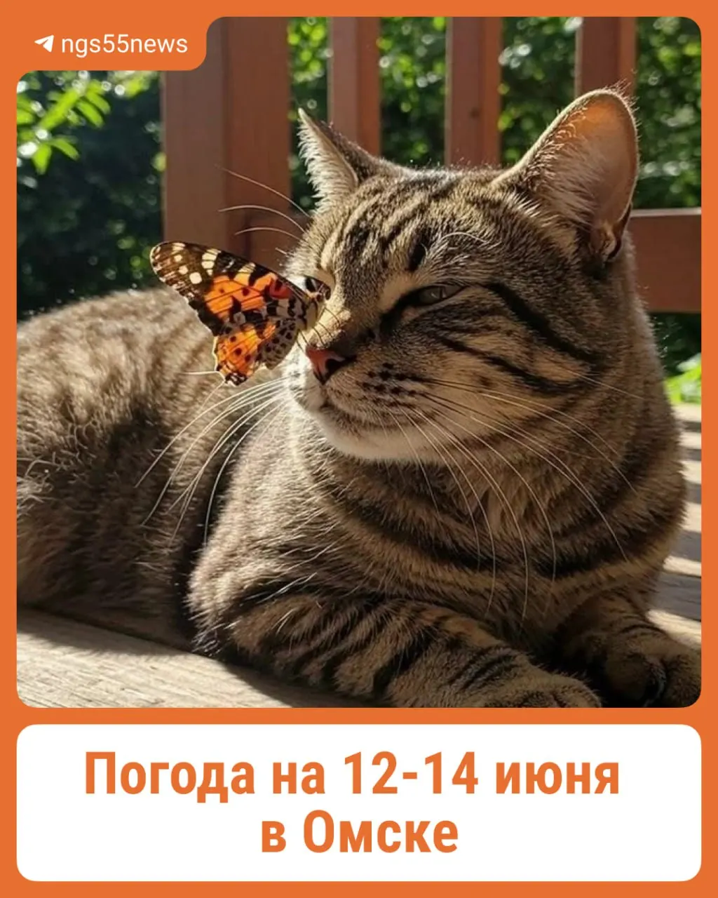 12 июня — почти без осадков, до +22°C. 13 июня — дождь утром и вечером, до +23°C. 14 июня — дожди днём и вечером, до +24°C.