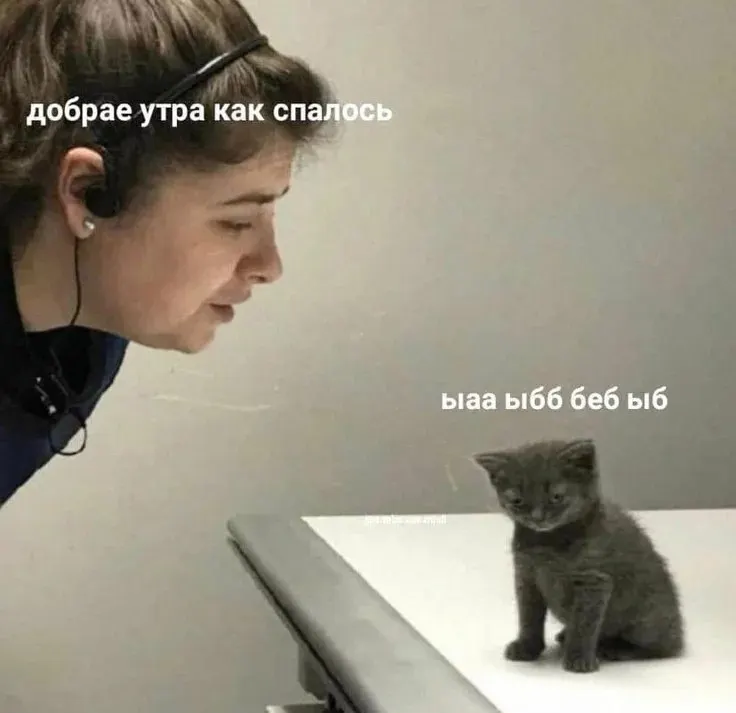 С 12:00 и до вечера в Омске прогнозируют дождь. Берите зонт и не забывайте хорошее настроение.