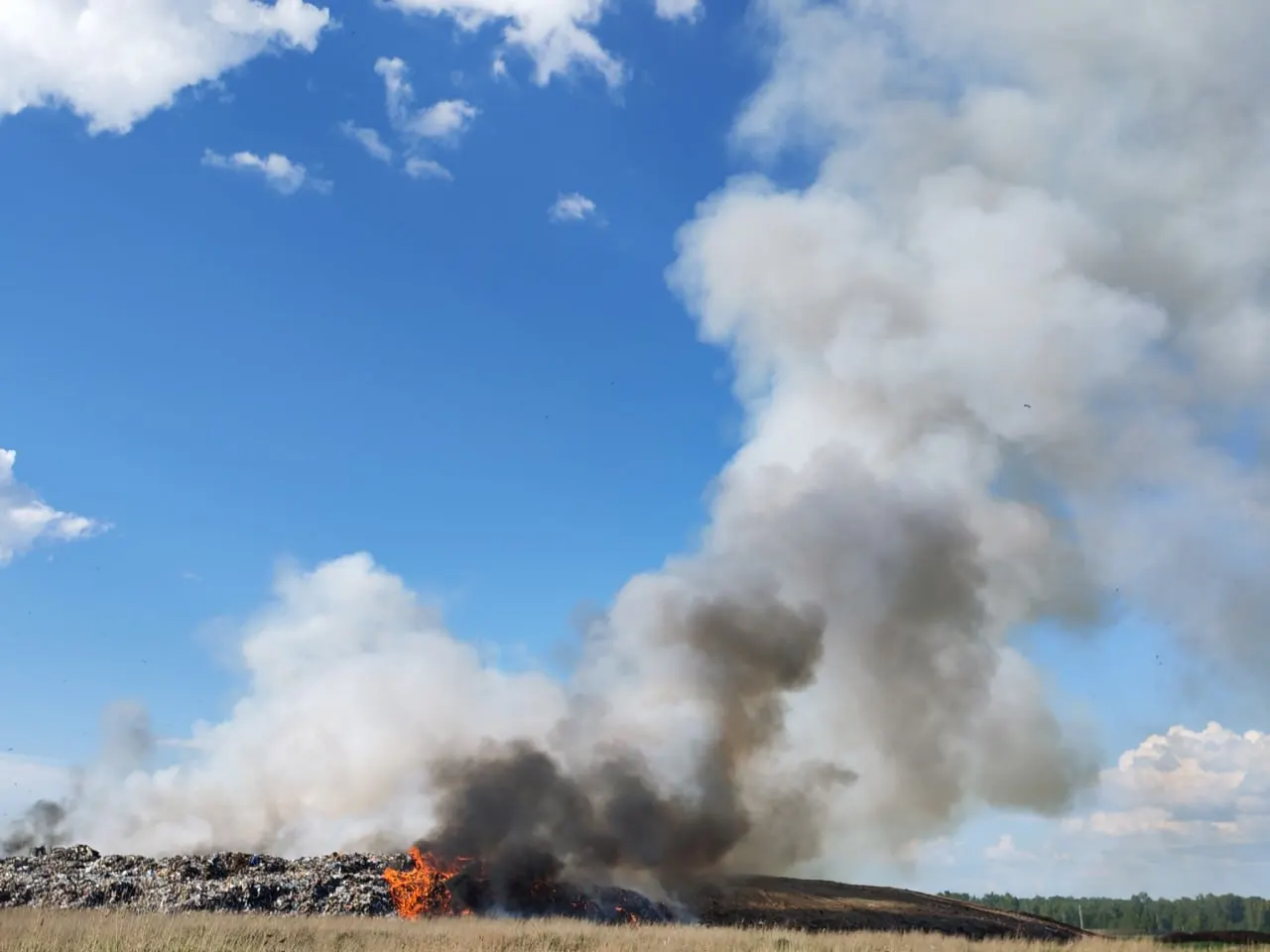 На полигоне в Калачинске Омской области разгорелся очередной пожар: черный дым виден за десятки километров, в городе ощущается запах гари.