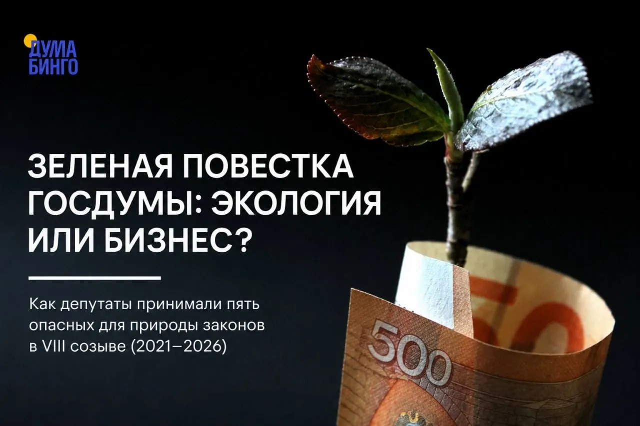 Обзор основных законопроектов последних лет, которые эксперты считают ослабляющими экологическое регулирование — от ограничений общественной экспертизы до правил добычи редких видов.