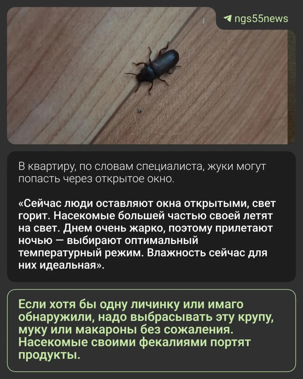Жители Омска сообщают о появлении черных жуков на кухнях. Эксперт считает, что это хрущаки — они питаются крупами и мукой. В материале — рекомендации, как поступать с заражёнными продуктами.