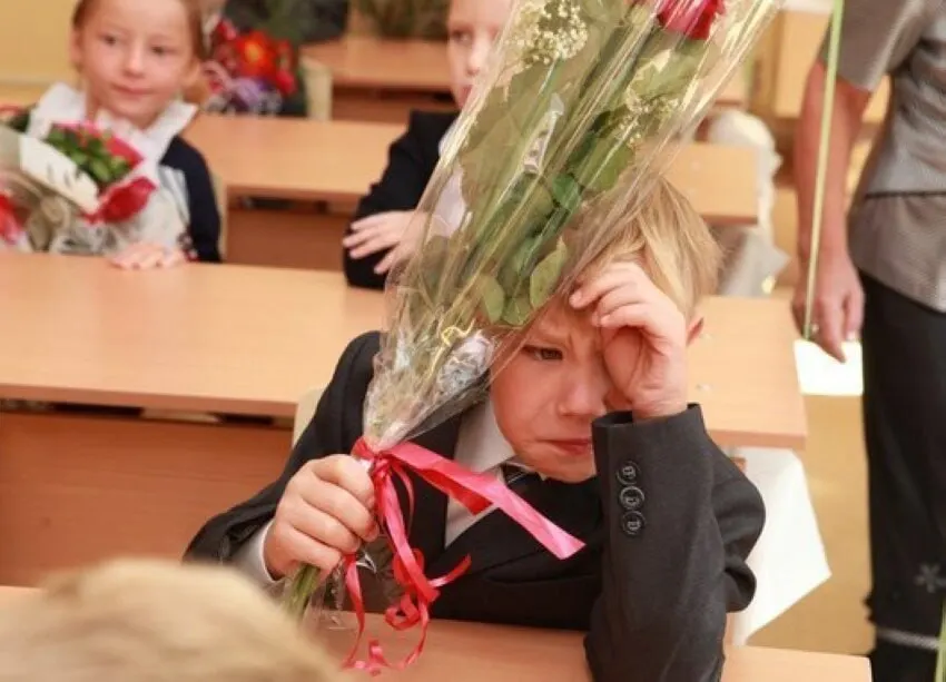Замглавы Минпросвещения подтвердил, что 11 лет — оптимальная длительность школьного образования; сокращать или увеличивать число лет сейчас не собираются, а все новые стандарты будут разрабатываться с расчётом на 11 классов.