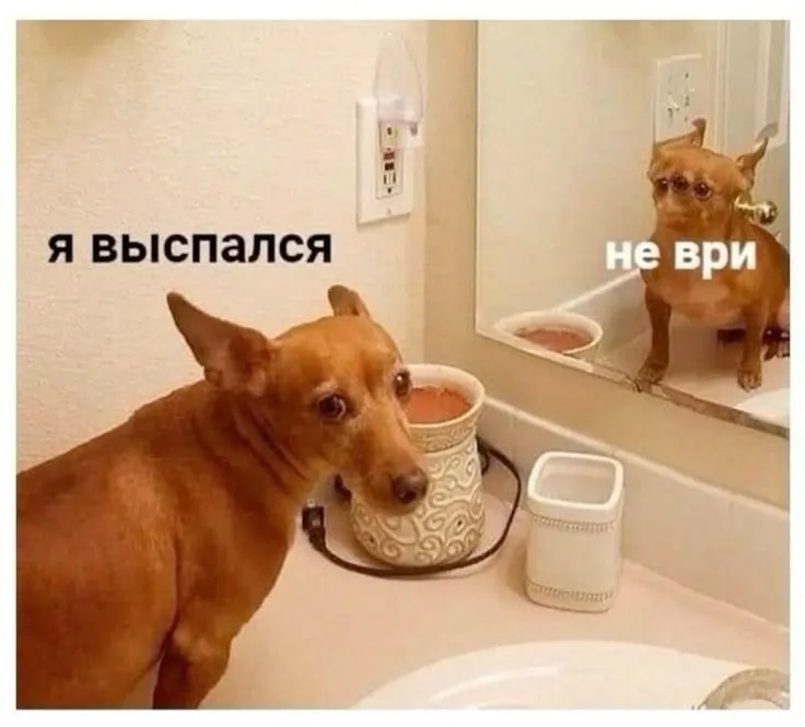 Днём в Омске прогнозируют до +29°C; ожидается тёплая погода, позаботьтесь о защите от солнца.