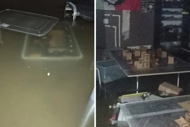В цокольном помещении на Гагарина, 2 прорвало трубу с горячей водой: вода поднялась выше колен, повреждены потолок, стены и игровое имущество — убытки оценивают в сотни тысяч рублей.