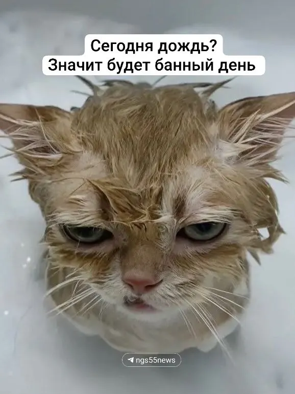 Жители нескольких домов в Омске остаются без горячей воды из‑за аварий и переноса сроков ремонта; коммунальные службы обещают устранить неполадки в разное время.
