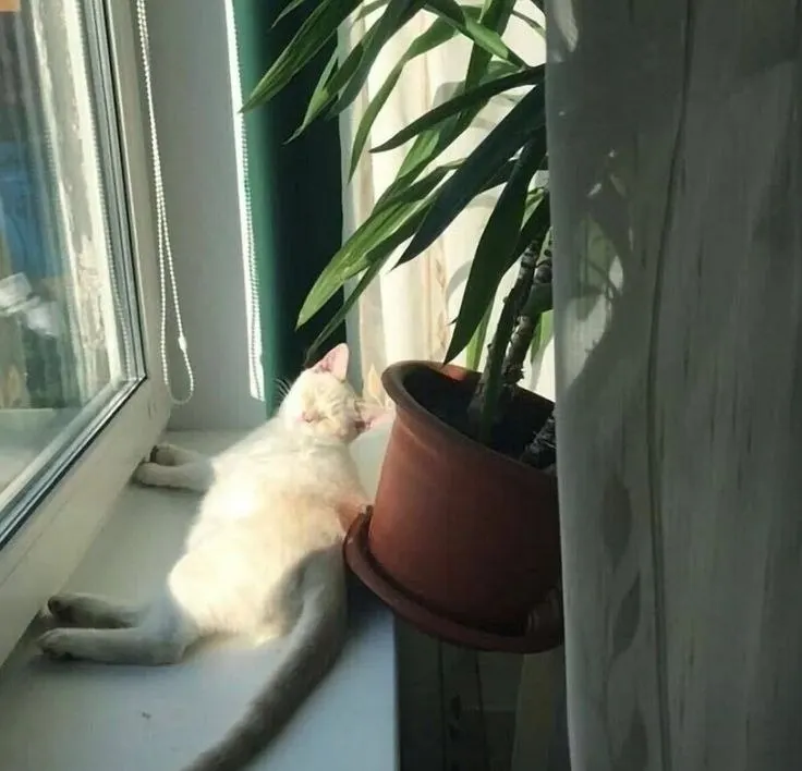 Днем воздух прогреется до +35°C, осадков не ожидается. Уже завтра синоптики прогнозируют дождь с грозой. Совет: оставайтесь в прохладном помещении и пейте больше воды.