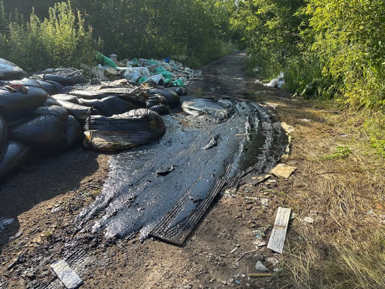В Ленинском округе на дороге под ЛЭП у озера Чередового обнаружена большая несанкционированная свалка: мешки с битумом, строительный мусор и останки животных. Жители просят контролирующие органы проверить ситуацию и организовать уборку.
