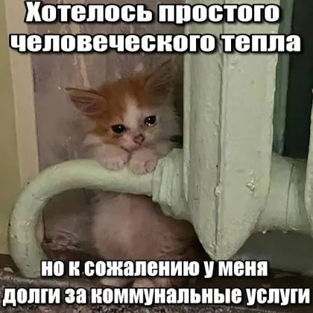 ВС подтвердил, что срок исковой давности в три года защищает должника: задолженность по капремонту старше трёх лет нельзя отразить в квитанциях для принудительного взыскания.