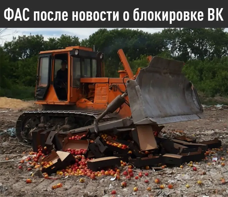 Антимонопольная служба потребовала до 15 июля устранить, по её мнению, дискриминационные условия для российских поисковых систем и выполнить предустановку отечественного ПО на устройствах iOS; в противном случае будет возбуждено дело и возможен штраф до 4 млрд рублей.