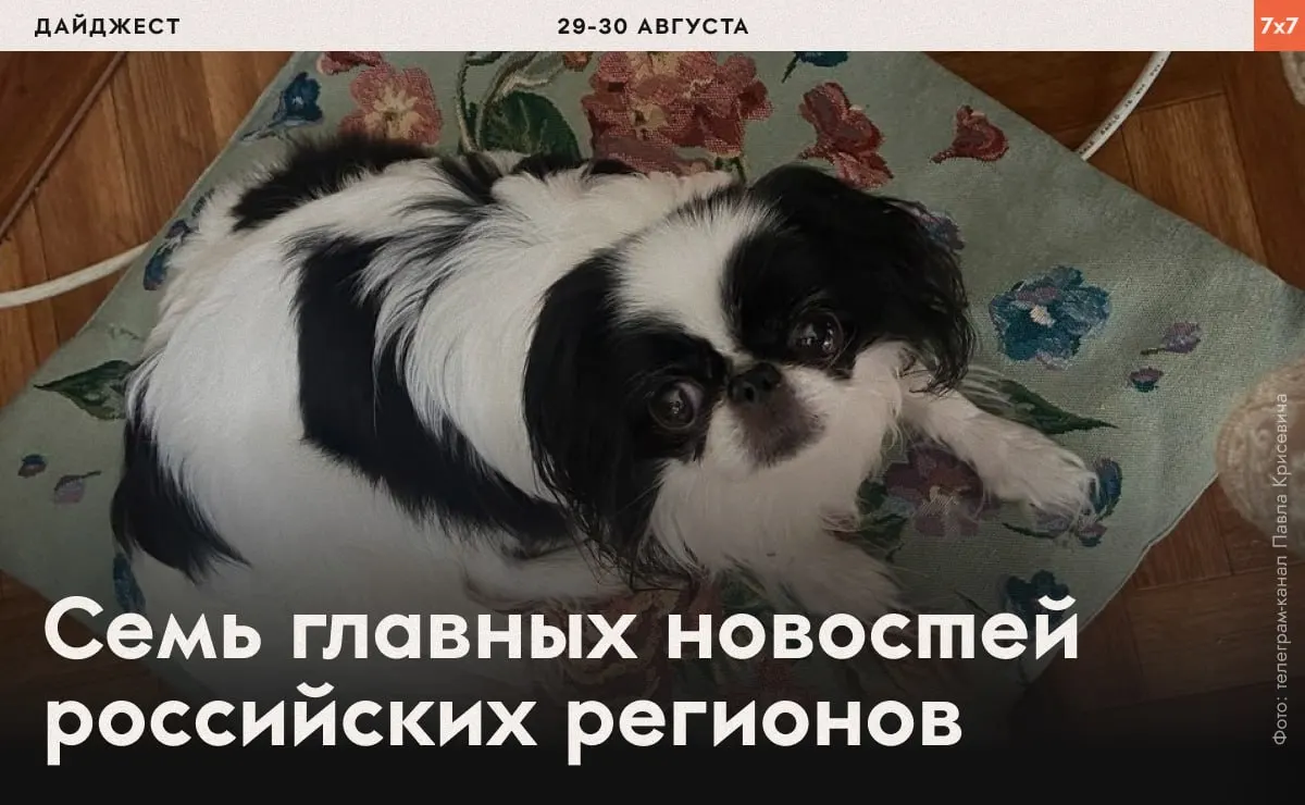 Сводка по нескольким регионам: принуждения, обыски, запреты на агитацию и давление на активистов.