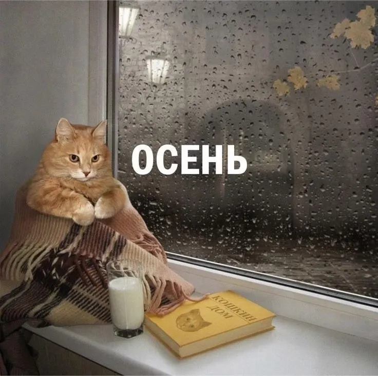 Росгидромет сообщает, что в сентябре—ноябре средние месячные температуры в Омской области отклонятся от климатической нормы не более чем на 1°.