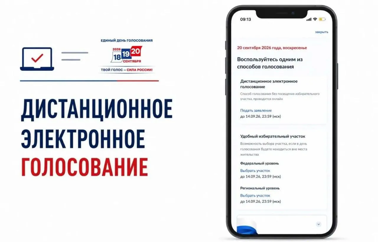 Открылась подача заявлений на участие в ДЭГ. Эксперты обсуждают вопросы прозрачности и рисков манипуляций в системе.