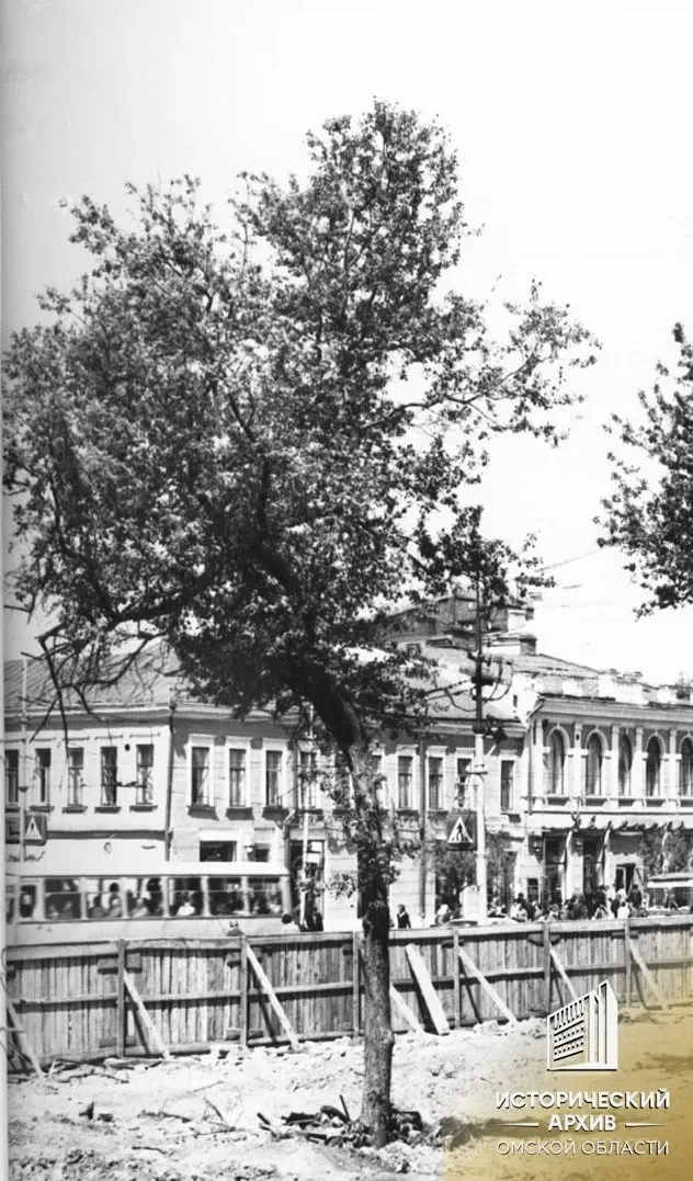 Уникальное живое памятник природы Омска — старейшая яблоня возле краеведческого музея, которая хранит историю города и радует жителей уже более века.