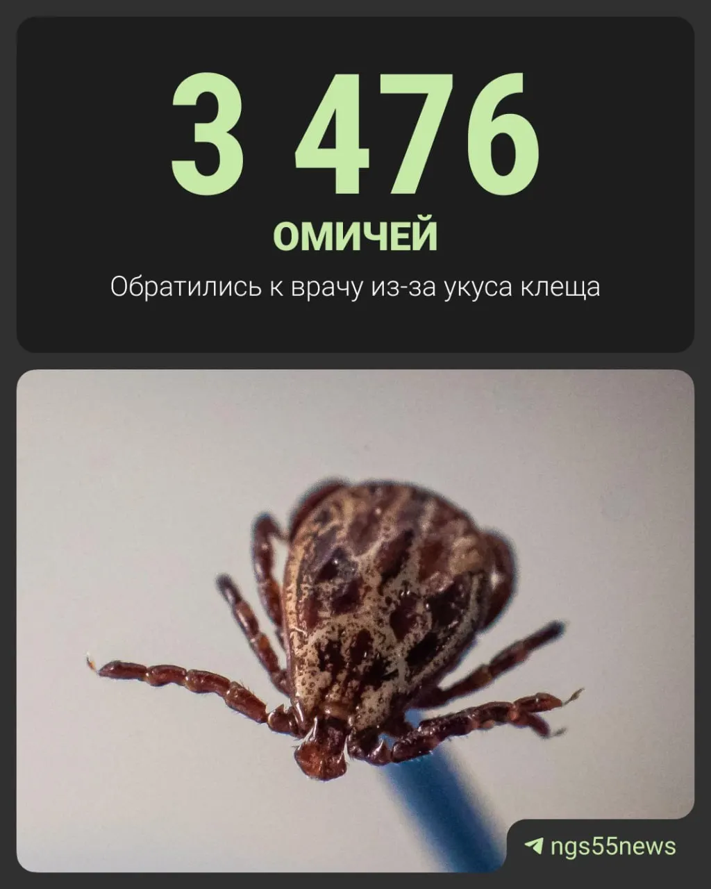По данным Роспотребнадзора, среди пострадавших — 1126 детей.