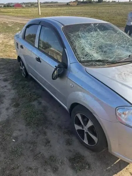 20-летний полтавчанин угнал автомобиль отчима, повредил подсолнухи и сбил именинницу с её сестрой; возбуждено уголовное дело.