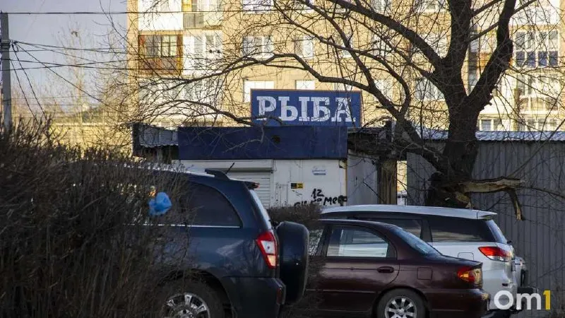В июле путасса обошлась в 82 рубля за килограмм и возглавила рейтинг доступности на рынке; рядом — сельдь, тюлька и килька по более высоким ценам.