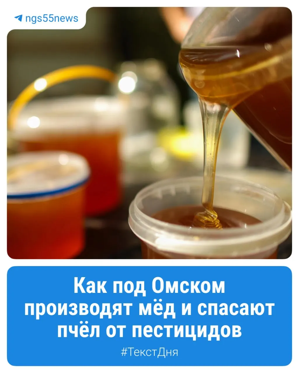 Пасека в Калачинском районе Омской области сталкивается с угрозой химикатов из близлежащих полей, несмотря на значительную удалённость от населённых пунктов.