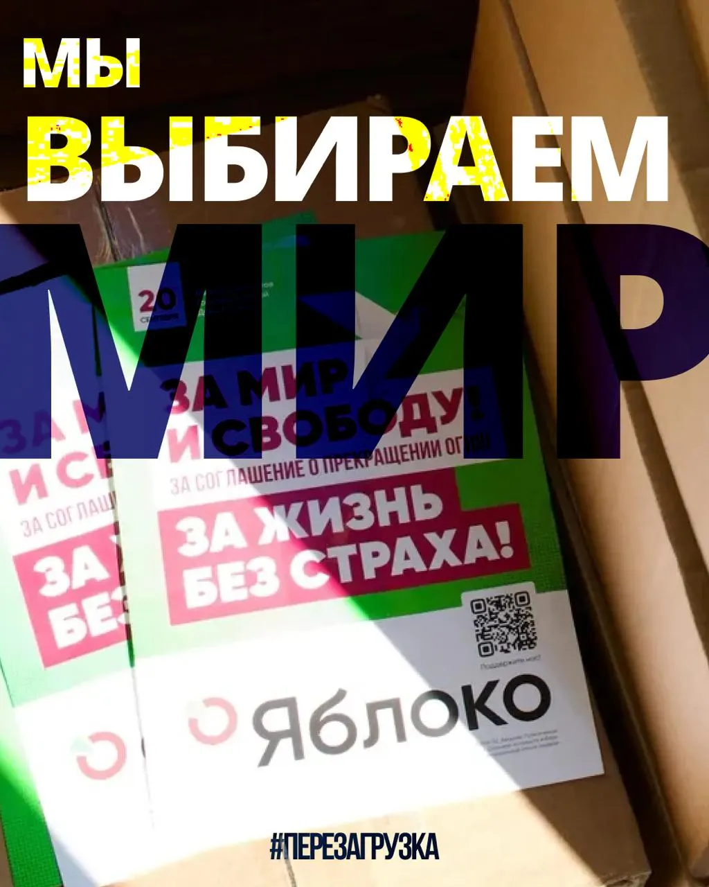 53 региона — кампания 135 кандидатов от партии; единая карта помогает выбрать регион и найти своих кандидатов за мир и свободу.