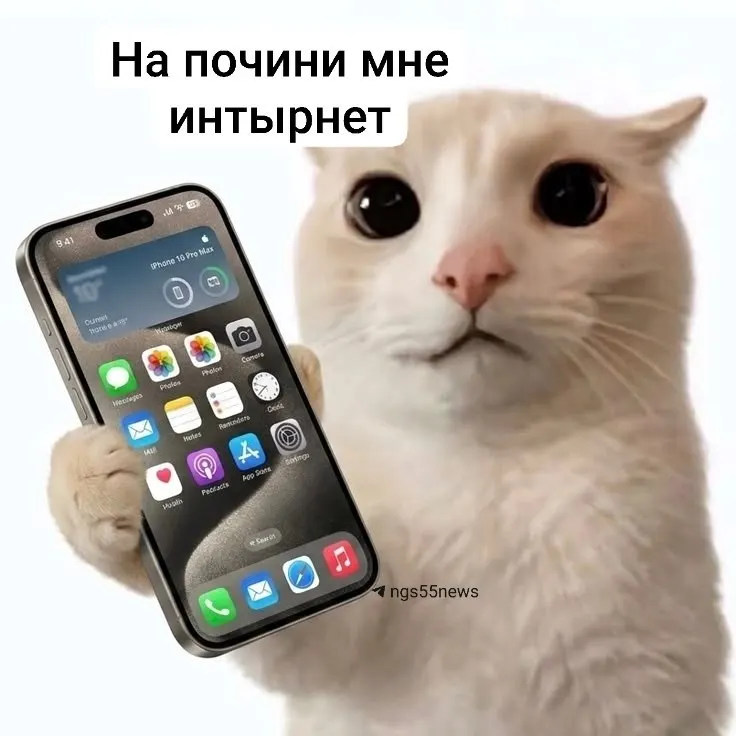 Из-за кибератаки часть сервисов оказалась недоступна: сайт, личный кабинет и платежная система. Возможны перебои в телефонии и загрузке контента.
