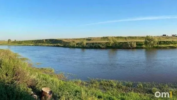 В мешке оказались кирпичи и мёртвые кошки; местные жители требуют утилизации останков.