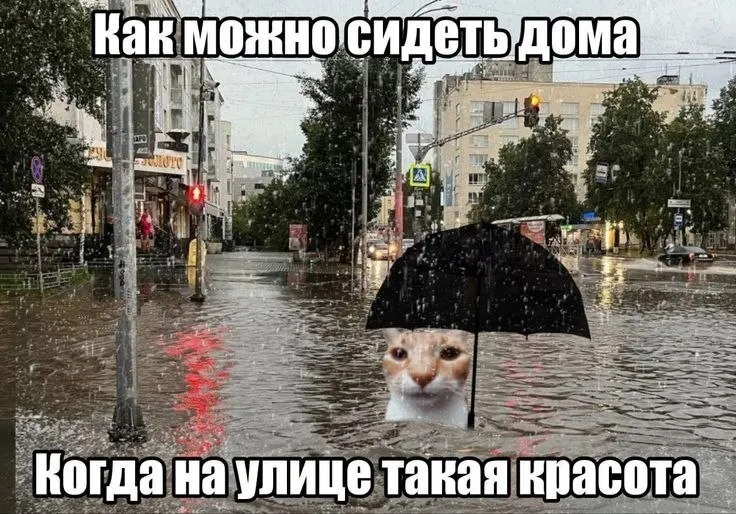 МЧС предупреждает: сегодня вечером и завтра в регионе ожидаются сильный дождь, шквалистый ветер и возможен град. Учитывайте погодные условия при планировании дел.