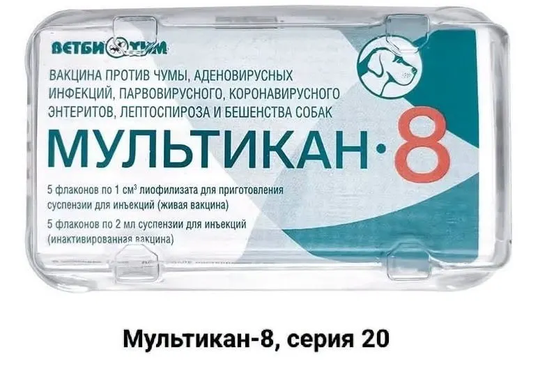 Владельцы животных требуют независимого анализа причин гибели после прививки препаратом «Мультикан-8» и раскрытия обстоятельств инцидентов.