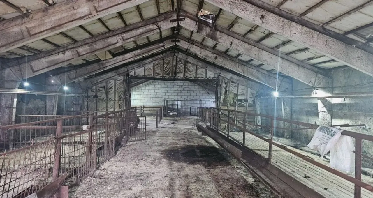 Животноводческая ферма в селе Красная Горка Омского района выставлена на продажу за 3,3 миллиона рублей; в составе — дом, баня и коровник, рядом газ и собственная скважина.