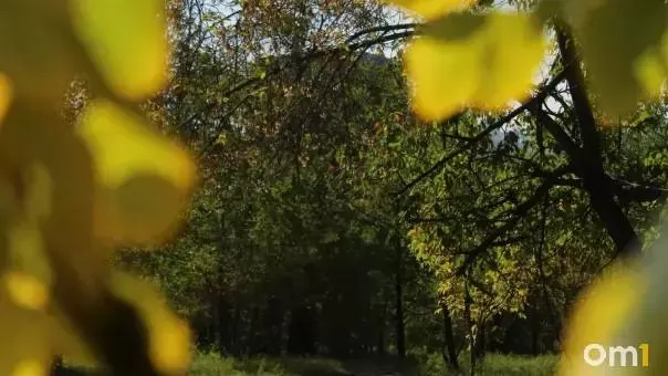 Комитет по градостроительству Омского городского Совета одобрил название сквера в Центральном округе возле территории у G-Energy Арены — СКК им. В. Блинова.