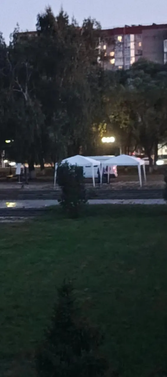 Перед открытием обновлённой городской зоны у Лебединого озера провели ремонт моста: часть плитки сняли со смежной дорожки, чтобы ускорить работы.