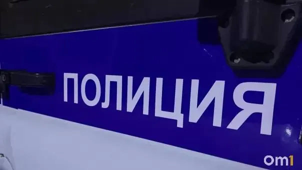 Жительница Омска перевела мошенникам 109 тысяч рублей за щенков породы мальтипу, но не получила животных; полиция задержала подозреваемую.