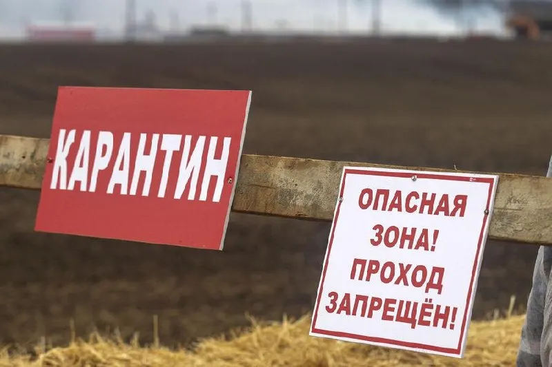 Новые очаги бешенства зафиксированы в личных хозяйствах трёх населённых пунктов; карантин действует до 31 октября.