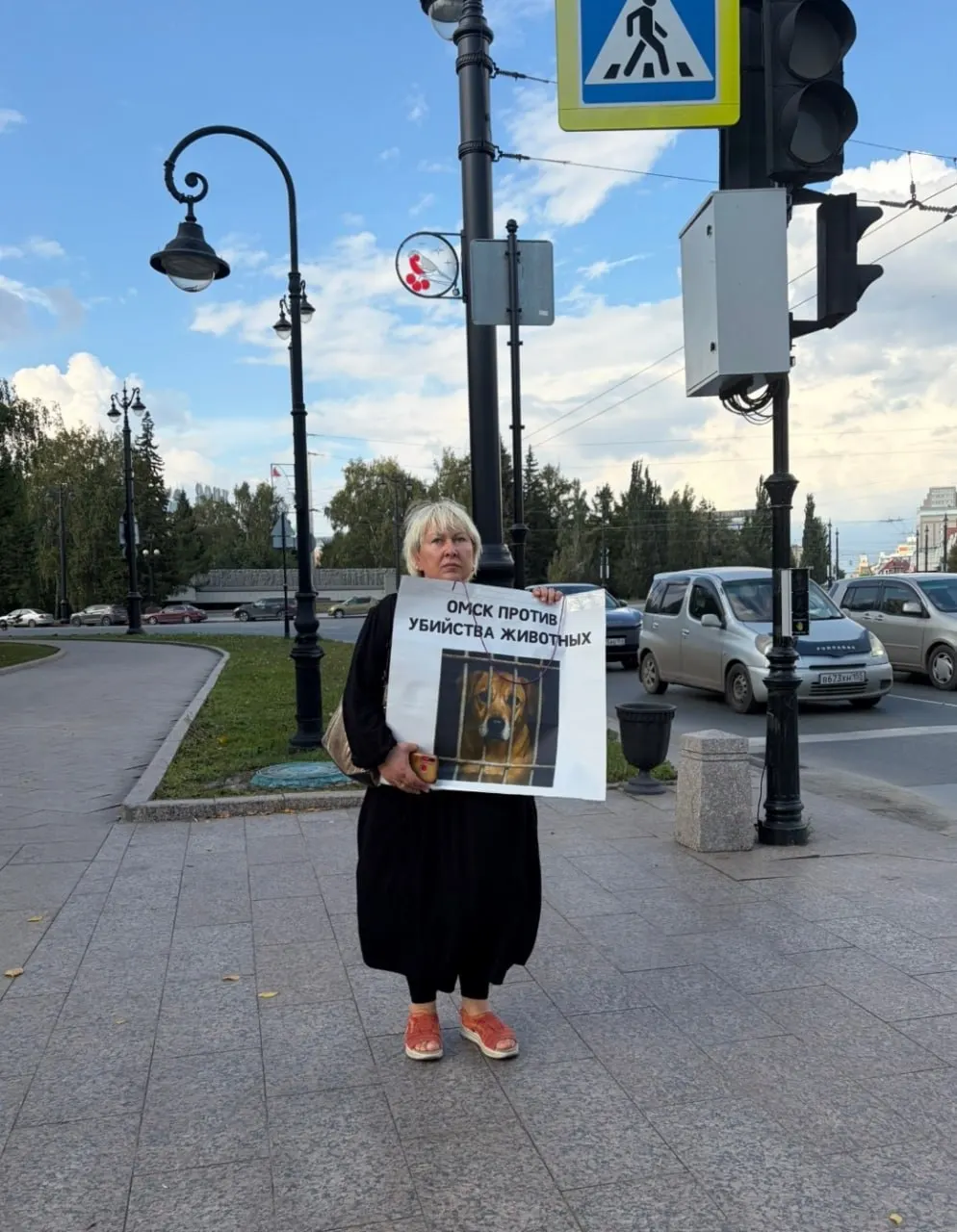 Жительницы Омска вышли к мэрии на одиночные пикеты в знак протеста против изменения статуса приюта и возможной эвтаназии собак в условиях чрезвычайной ситуации.