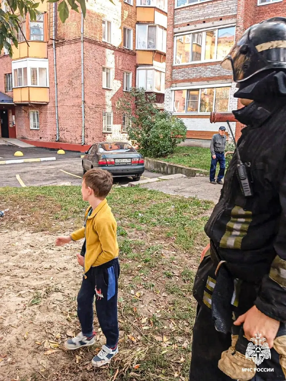 Пожарный оперативно снял мальчика с дерева; мальчик и кот благополучно спустились, ситуация завершилась успешно.
